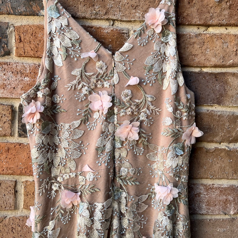 Dress the Population Blush Floral Embroidered Tulle Long Dress - Picture 6 of 16